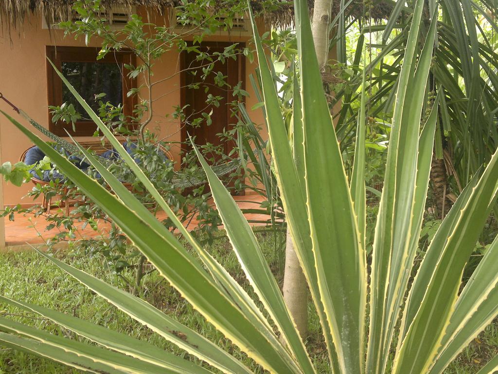 Botanica Hotel Kep Esterno foto